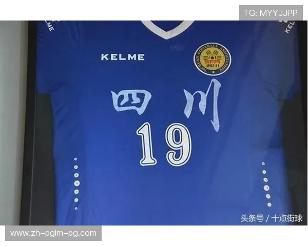 足球退役安置体系是否能有效保障运动员的生计延续